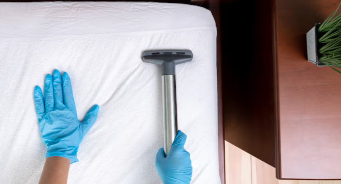 Licensed and insured cleaners in OC